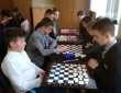 Турнір з гри «Шашки» між учнями 7 - 8 класів