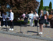 Відпливають білі кораблі